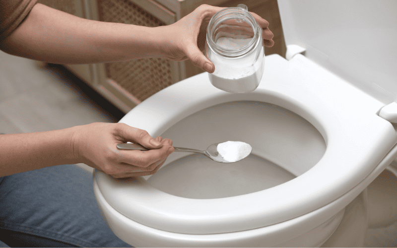 12 Incredible Toilet Bowl Light for 2023