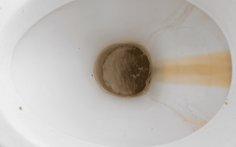 Guide To Tackling Rust In Toilet Bowl: Achieve A Rust-Free Bathroom