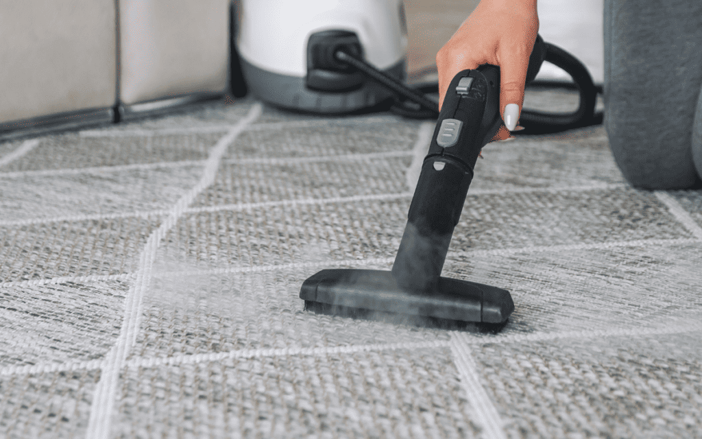 how-to-clean-mold-from-carpet-save-time-and-money