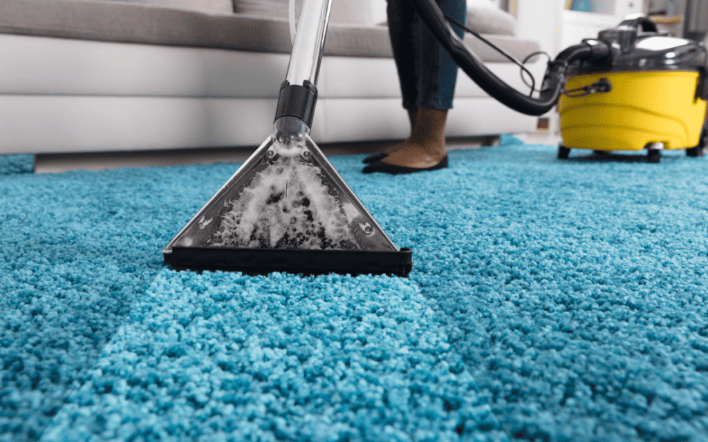 How To Get Water Out Of Carpet Pro Tips For Immediate Action